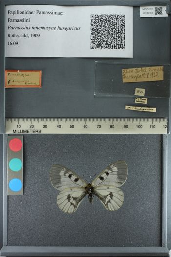 Media type: image;   Entomology 180151